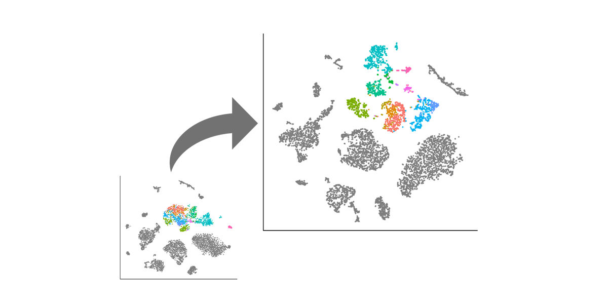Using statistics to uncover the truth about individual cells Penn Today
